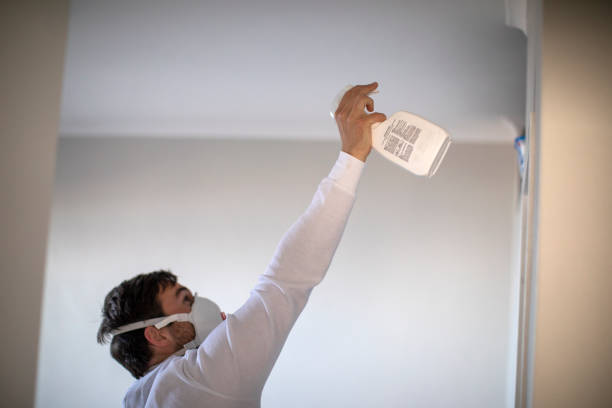 Best Health and Safety Mold Remediation in Garberville, CA