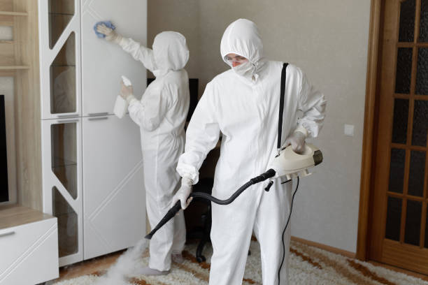 Best Localized Mold Remediation (e.g., coastal areas, humid climates) in Garberville, CA